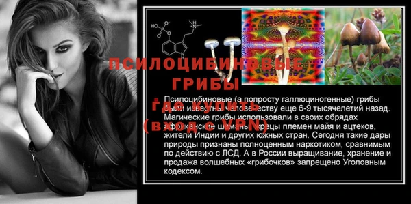 ешки Арсеньев