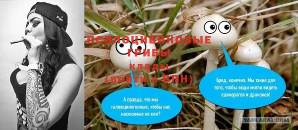 ешки Арсеньев