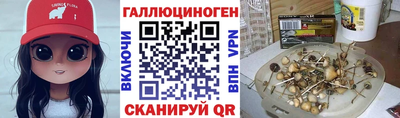 Купить где  Верхоянск  Галлюциногенные грибы MAGIC MUSHROOMS 